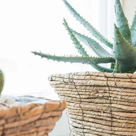 Herb Apartment *